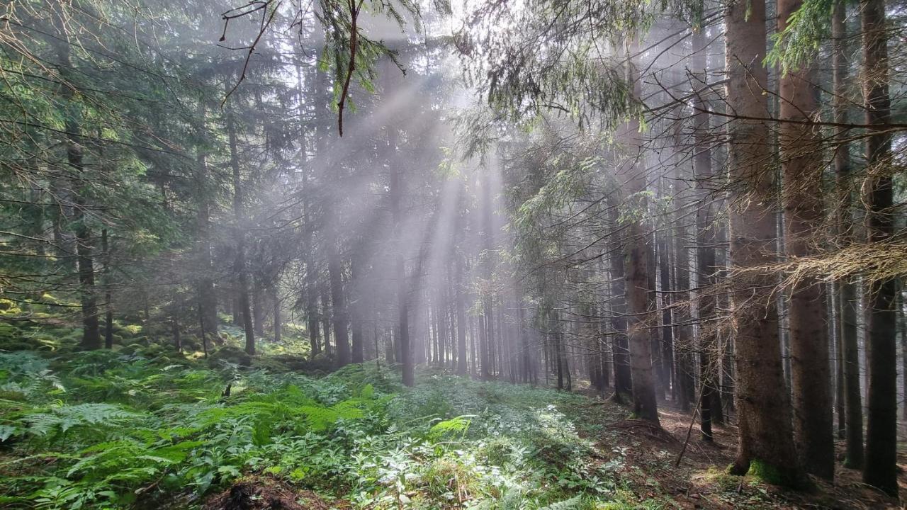 Ferienwohnungen Rabensteiner บาด ไคลน์เคิร์ชไฮม์ ภายนอก รูปภาพ